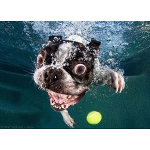 Екшън Камера HD 1080p Waterproof Sports Cam